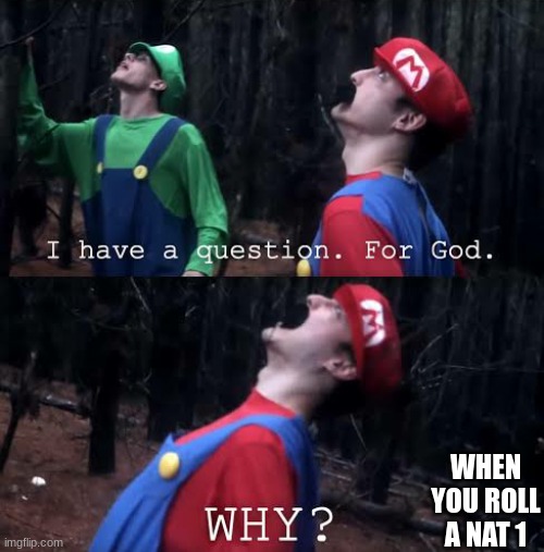 I have one question for god why | WHEN YOU ROLL A NAT 1 | image tagged in i have one question for god why | made w/ Imgflip meme maker