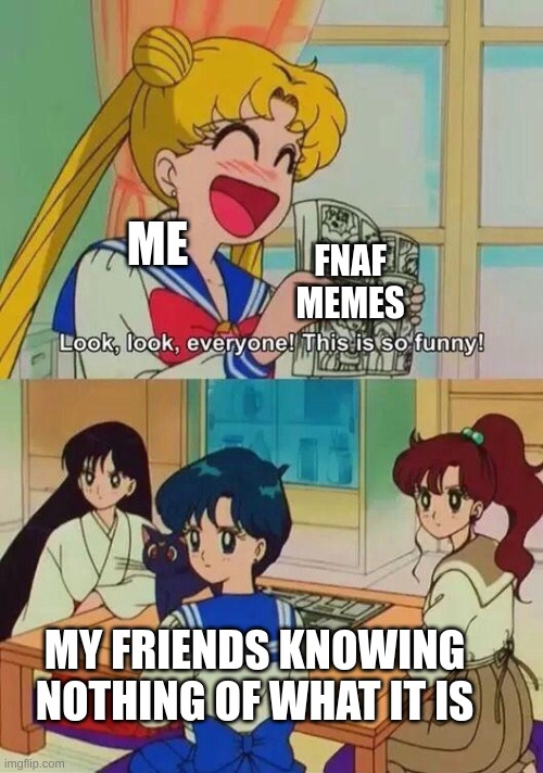 Fnaf be like (8) | ME; FNAF MEMES; MY FRIENDS KNOWING NOTHING OF WHAT IT IS | image tagged in so funny sailor moon | made w/ Imgflip meme maker