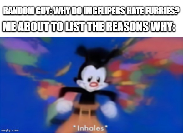 why we hate furries? | RANDOM GUY: WHY DO IMGFLIPERS HATE FURRIES? ME ABOUT TO LIST THE REASONS WHY: | image tagged in yakko inhale,anti furry | made w/ Imgflip meme maker
