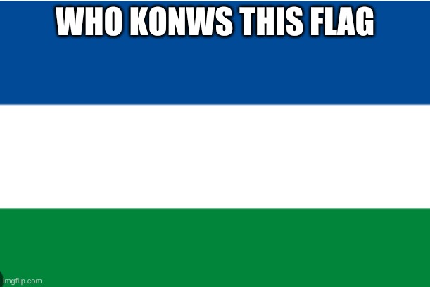 WHO KONWS IT(i do) | WHO KONWS THIS FLAG | image tagged in gusse,flags | made w/ Imgflip meme maker