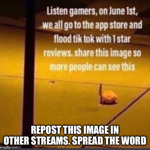 The revolution is coming | REPOST THIS IMAGE IN OTHER STREAMS. SPREAD THE WORD | image tagged in tik tok sucks,oh wow are you actually reading these tags,stop reading the tags,why are you reading the tags,unnecessary tags | made w/ Imgflip meme maker