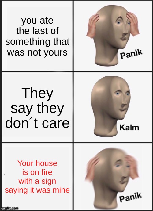 For real though | you ate the last of something that was not yours; They say they don´t care; Your house is on fire with a sign saying it was mine | image tagged in memes,panik kalm panik | made w/ Imgflip meme maker