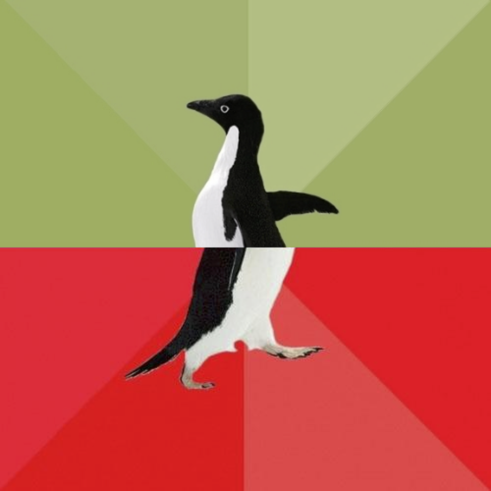 Socially Average Awesome Penguin Blank Meme Template