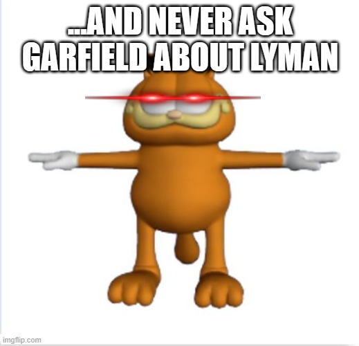 garfield t-pose | ...AND NEVER ASK GARFIELD ABOUT LYMAN | image tagged in garfield t-pose | made w/ Imgflip meme maker