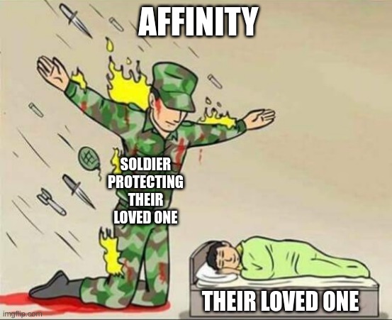 Loved one protected | AFFINITY; SOLDIER PROTECTING THEIR LOVED ONE; THEIR LOVED ONE | image tagged in soldier protecting sleeping child | made w/ Imgflip meme maker