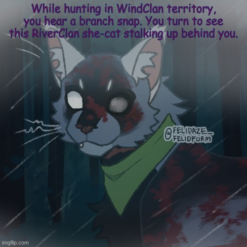 wooOOoOOoO remake of an old rp [Romance is allowed {any gender} and please no harming her. | While hunting in WindClan territory, you hear a branch snap. You turn to see this RiverClan she-cat stalking up behind you. | made w/ Imgflip meme maker