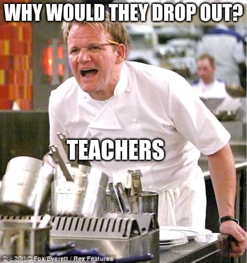 Chef Gordon Ramsay Meme | WHY WOULD THEY DROP OUT? TEACHERS | image tagged in memes,chef gordon ramsay | made w/ Imgflip meme maker