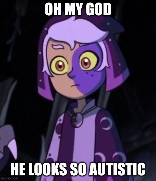 hopefully no one will hate me for this | OH MY GOD; HE LOOKS SO AUTISTIC | image tagged in owl house me | made w/ Imgflip meme maker