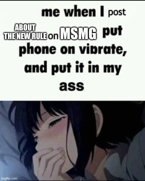 This is a hypothetical | MSMG; ABOUT THE NEW RULE | image tagged in me when i post x on x put my phone on vibrate shove it up ass | made w/ Imgflip meme maker