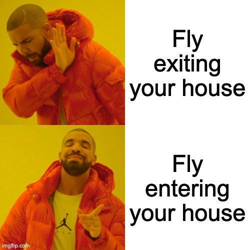 I have one stupid fly that just doesn't want to go out | Fly exiting your house; Fly entering your house | image tagged in memes,drake hotline bling,fly,lol,funny,so true memes | made w/ Imgflip meme maker