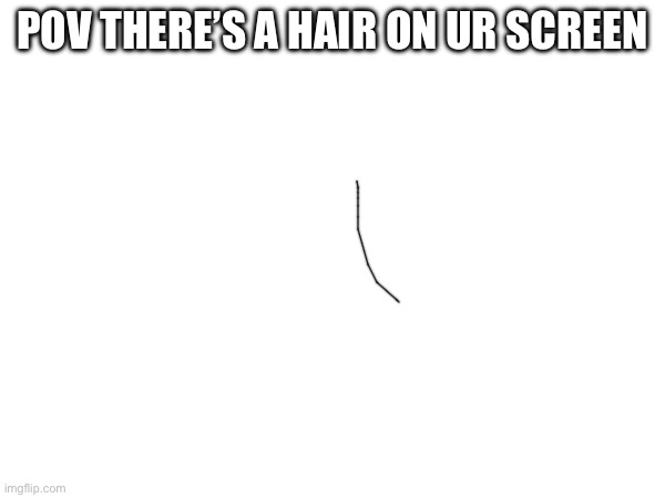 It suck doesnt it | POV THERE’S A HAIR ON UR SCREEN | image tagged in bamboozled,hair,unnecessary tags | made w/ Imgflip meme maker
