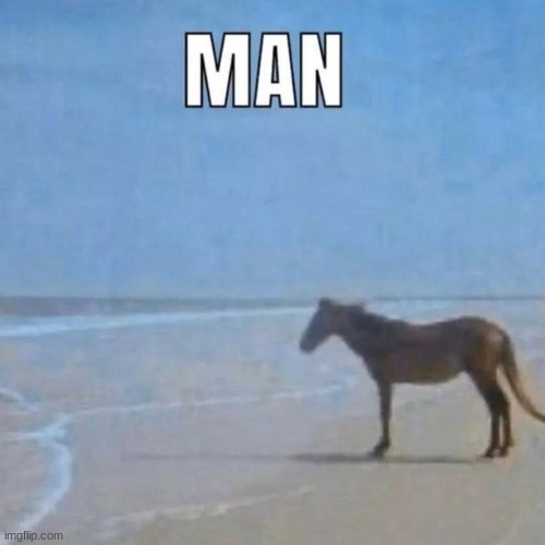 Horse looking at sea | image tagged in horse looking at sea | made w/ Imgflip meme maker