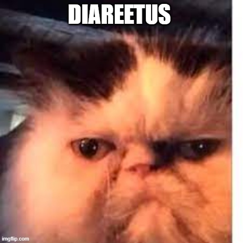 diareetus | DIAREETUS | image tagged in diabeetus,funny memes | made w/ Imgflip meme maker