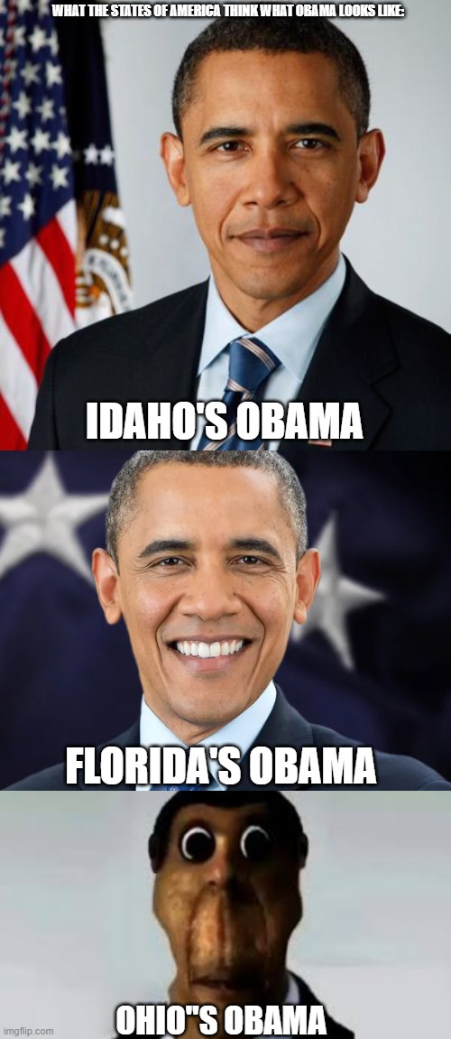 Ohio and Obama | WHAT THE STATES OF AMERICA THINK WHAT OBAMA LOOKS LIKE:; IDAHO'S OBAMA; FLORIDA'S OBAMA; OHIO"S OBAMA | image tagged in ohio,obama,going for 10k | made w/ Imgflip meme maker
