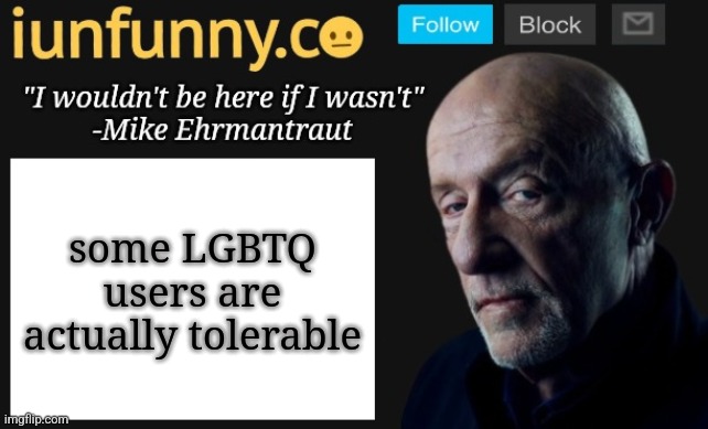 iUnFunny's Mike Ehrmantraut template | some LGBTQ users are actually tolerable | image tagged in iunfunny's mike ehrmantraut template | made w/ Imgflip meme maker