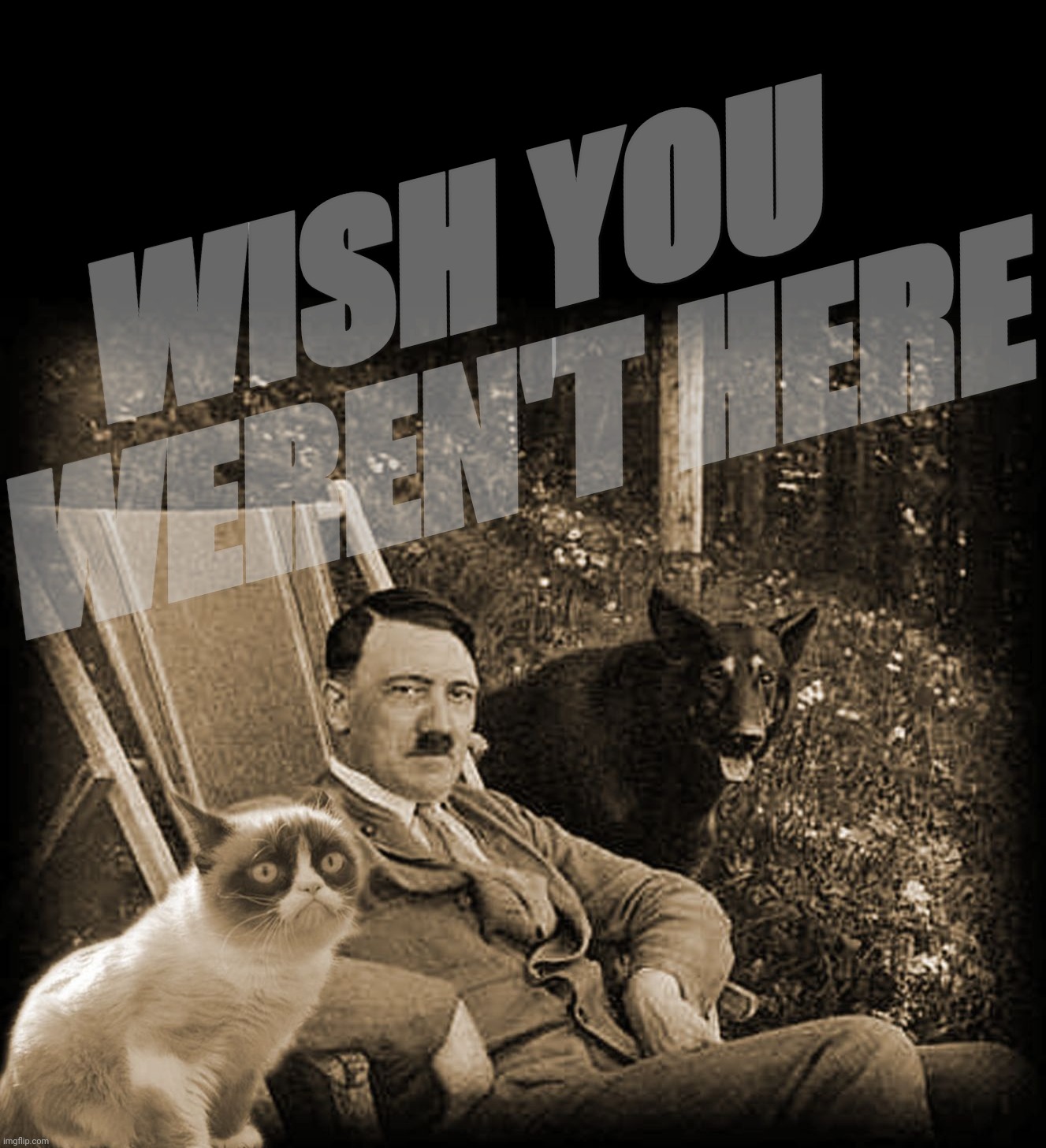 Grumpy Cat with Hitler | WISH YOU 
WEREN'T HERE | image tagged in grumpy cat with hitler | made w/ Imgflip meme maker