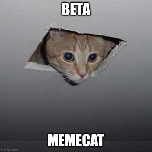 Ceiling Cat Meme | BETA MEMECAT | image tagged in memes,ceiling cat | made w/ Imgflip meme maker