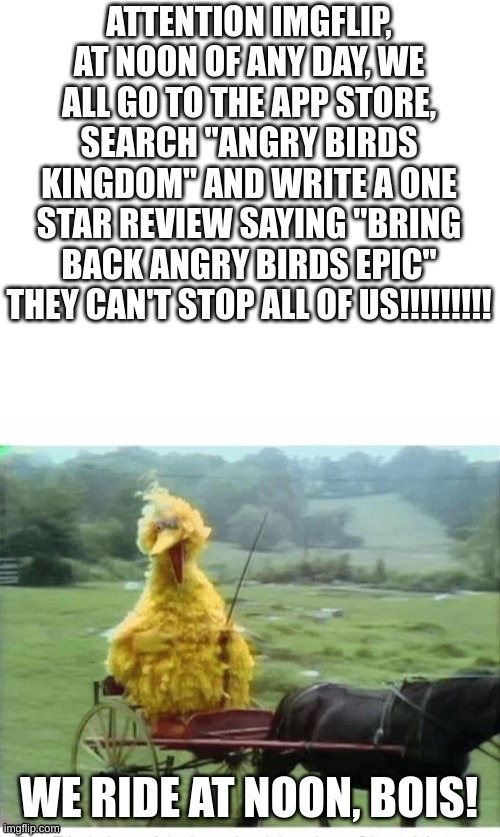 join the raid | image tagged in angry bird | made w/ Imgflip meme maker