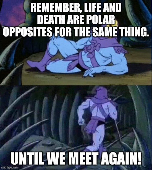 It's true. (I think) | REMEMBER, LIFE AND DEATH ARE POLAR OPPOSITES FOR THE SAME THING. UNTIL WE MEET AGAIN! | image tagged in skelator facts | made w/ Imgflip meme maker