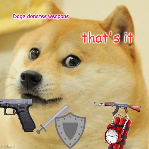 Doge Meme | Doge donates weapons; that's it | image tagged in memes,doge | made w/ Imgflip meme maker