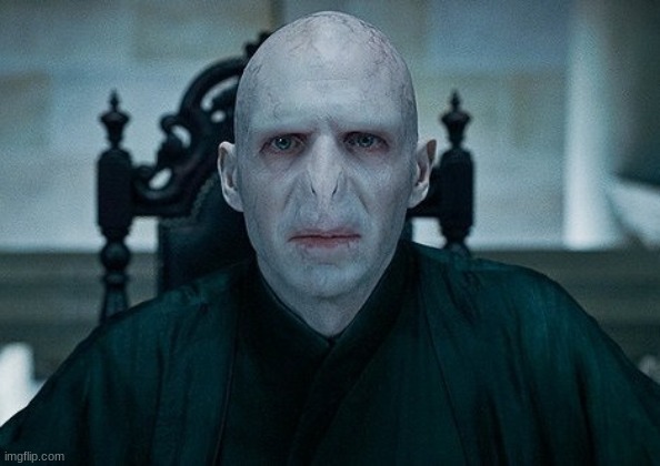 Voldy  | image tagged in voldy | made w/ Imgflip meme maker