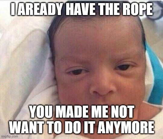 I Already Hate My Life | I AREADY HAVE THE ROPE YOU MADE ME NOT WANT TO DO IT ANYMORE | image tagged in i already hate my life | made w/ Imgflip meme maker