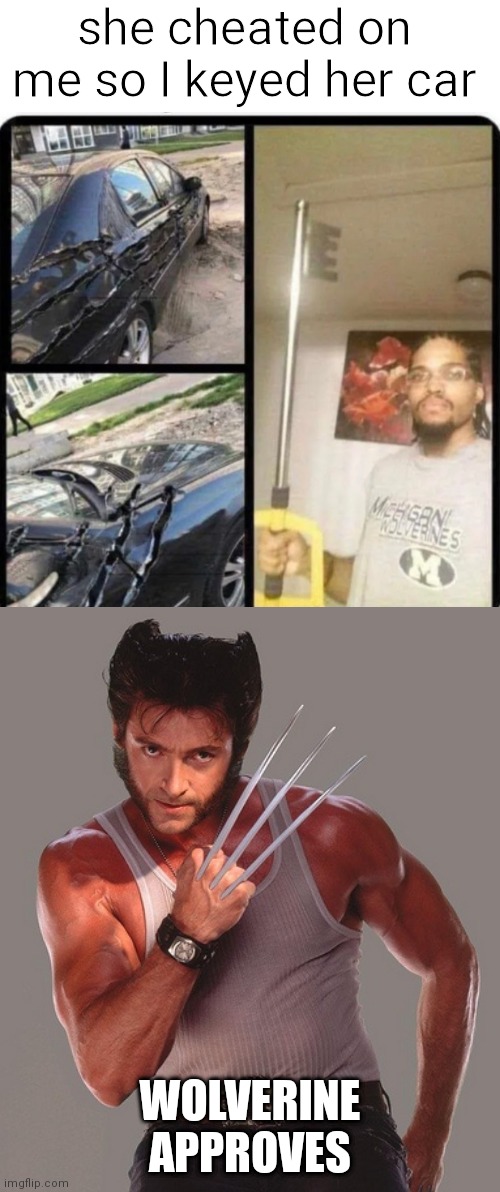 she cheated on me so I keyed her car; WOLVERINE APPROVES | image tagged in fun | made w/ Imgflip meme maker