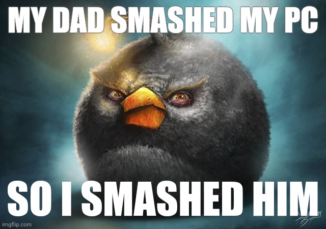 angry birds bomb | MY DAD SMASHED MY PC; SO I SMASHED HIM | image tagged in angry birds bomb | made w/ Imgflip meme maker