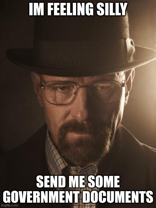 Walter White | IM FEELING SILLY; SEND ME SOME GOVERNMENT DOCUMENTS | image tagged in walter white | made w/ Imgflip meme maker