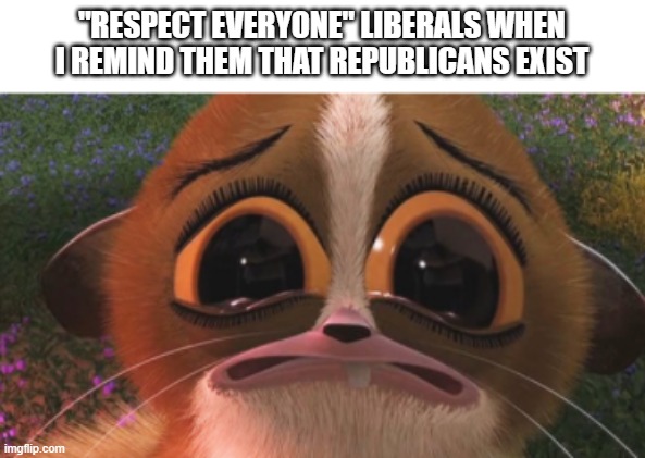 crying mort | "RESPECT EVERYONE" LIBERALS WHEN I REMIND THEM THAT REPUBLICANS EXIST | image tagged in crying mort | made w/ Imgflip meme maker