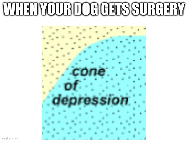 Too true though | WHEN YOUR DOG GETS SURGERY | image tagged in blank white template,dog | made w/ Imgflip meme maker