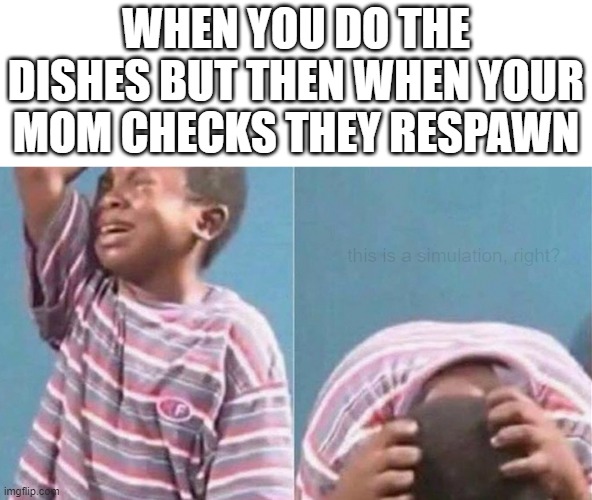 Crying black kid | WHEN YOU DO THE DISHES BUT THEN WHEN YOUR MOM CHECKS THEY RESPAWN; this is a simulation, right? | image tagged in crying black kid | made w/ Imgflip meme maker