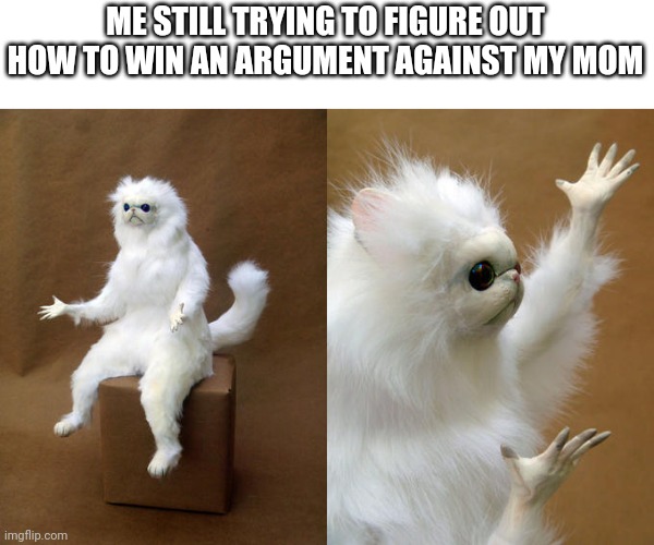 I win an argument with them | ME STILL TRYING TO FIGURE OUT HOW TO WIN AN ARGUMENT AGAINST MY MOM | image tagged in memes,persian cat room guardian | made w/ Imgflip meme maker