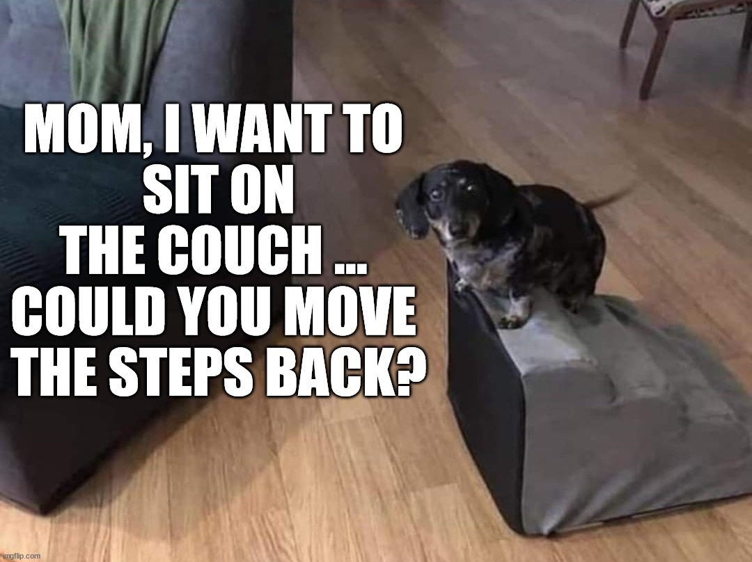 MOM, I WANT TO 
SIT ON THE COUCH ... 
COULD YOU MOVE 
THE STEPS BACK? | image tagged in dogs | made w/ Imgflip meme maker