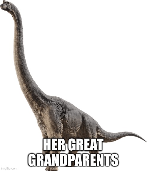 Brachiosaurus | HER GREAT GRANDPARENTS | image tagged in brachiosaurus | made w/ Imgflip meme maker