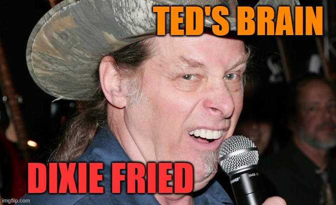 Racist Ted Nugent | TED'S BRAIN DIXIE FRIED | image tagged in racist ted nugent | made w/ Imgflip meme maker