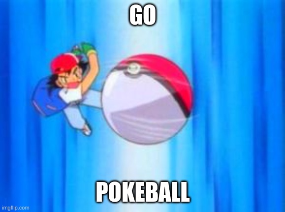 Pokeball so hard | GO POKEBALL | image tagged in pokeball so hard | made w/ Imgflip meme maker