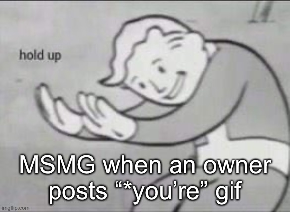 People who don’t know vs people who know | MSMG when an owner posts “*you’re” gif | image tagged in fallout hold up | made w/ Imgflip meme maker