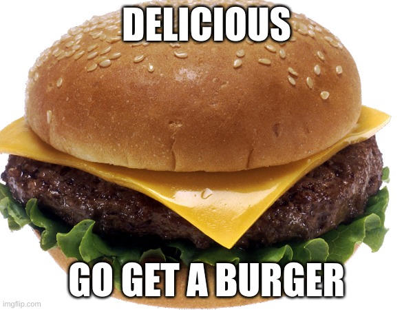 Borger | DELICIOUS; GO GET A BURGER | image tagged in memes,yum,delicious | made w/ Imgflip meme maker