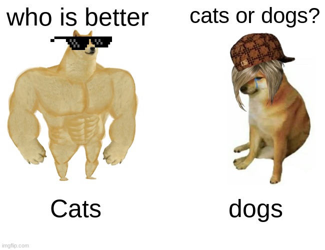 Buff Doge vs. Cheems | who is better; cats or dogs? Cats; dogs | image tagged in memes,buff doge vs cheems,cats,dogs suck,cats rule | made w/ Imgflip meme maker