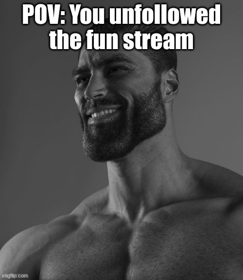 W | POV: You unfollowed the fun stream | image tagged in giga chad | made w/ Imgflip meme maker