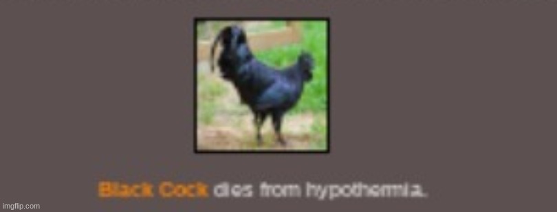 damn | made w/ Imgflip meme maker