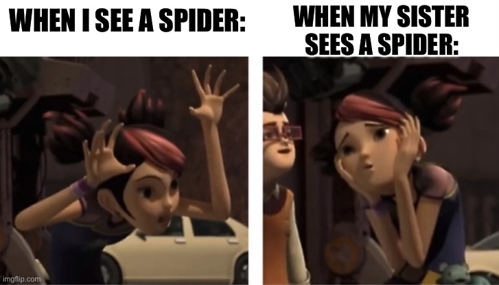 There are 2 different types of people: when they see a spider | WHEN MY SISTER SEES A SPIDER:; WHEN I SEE A SPIDER: | image tagged in there are 2 different types of people,spider,transformers,transformers prime,spiders | made w/ Imgflip meme maker