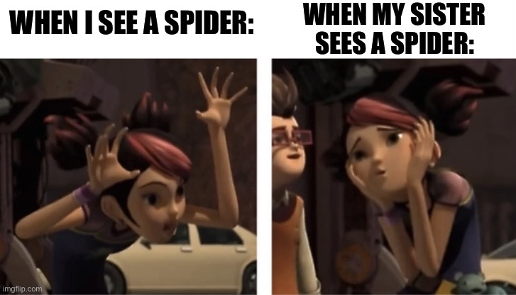 There are 2 kinds of people | WHEN MY SISTER SEES A SPIDER:; WHEN I SEE A SPIDER: | image tagged in there are 2 different types of people,spider,spiders,transformers prime,tfp | made w/ Imgflip meme maker