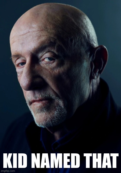 Mike Ehrmantraut | KID NAMED THAT | image tagged in mike ehrmantraut | made w/ Imgflip meme maker