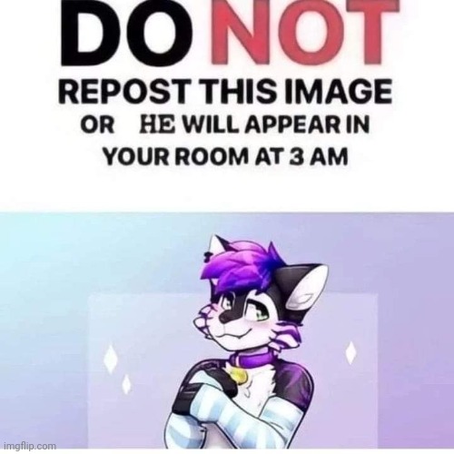 image tagged in furry,femboy | made w/ Imgflip meme maker