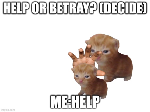 Help or betray? | HELP OR BETRAY? (DECIDE); ME:HELP | image tagged in funny | made w/ Imgflip meme maker