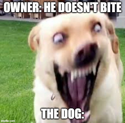 Crazy dog man | OWNER: HE DOESN'T BITE; THE DOG: | image tagged in crazy dog man | made w/ Imgflip meme maker