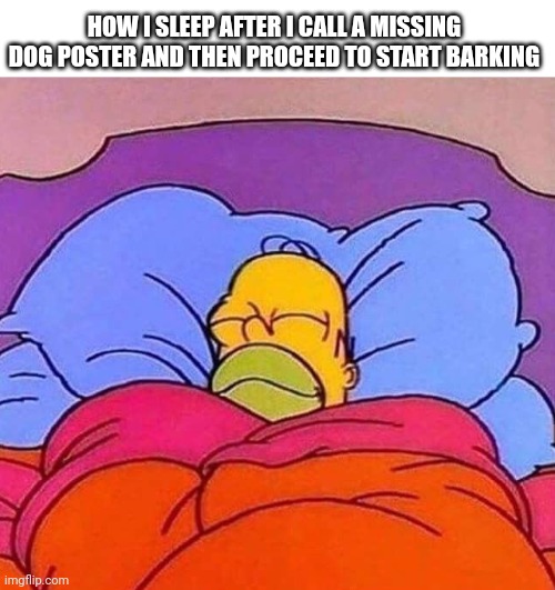 Look, you gotta let the intrusive thought win every once in a while... | HOW I SLEEP AFTER I CALL A MISSING DOG POSTER AND THEN PROCEED TO START BARKING | image tagged in homer simpson sleeping peacefully,dark humor,funny,memes | made w/ Imgflip meme maker