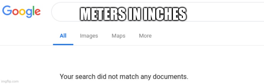 Google No Results | METERS IN INCHES | image tagged in google no results | made w/ Imgflip meme maker